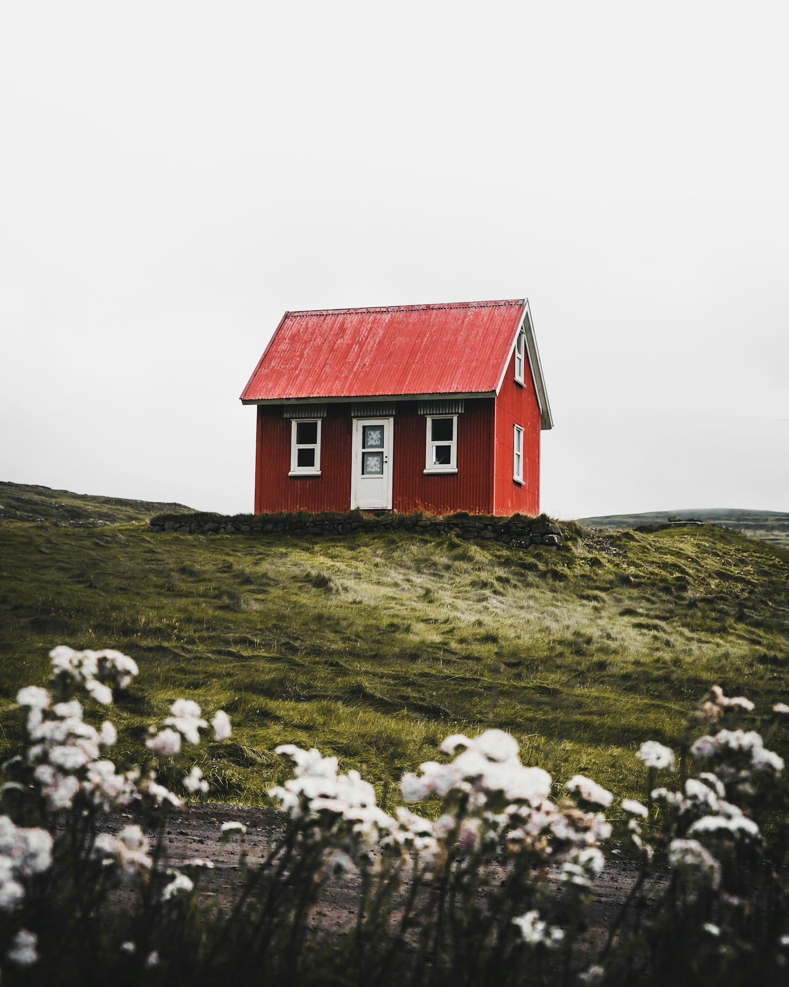 A remote wooden house at the edge of a dark forest